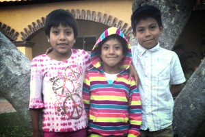 c6dff63b-0185-47d5-b306-c407e751aa12