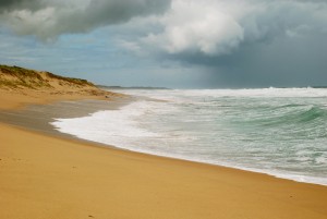 6672583037_e16426a9a2_b