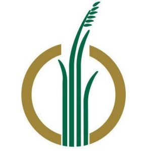 1450140_10152053533553130_817125506_n